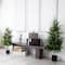 4ft. Unlit Norfolk Pine Artificial Potted Christmas Tree